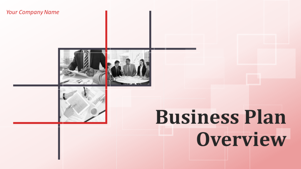 Business Plan Overview