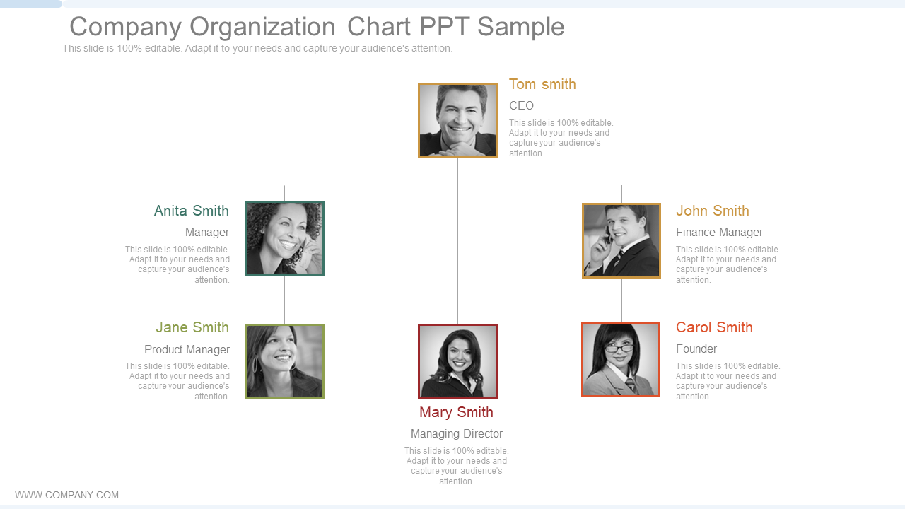 Company Organization Chart PPT Sample