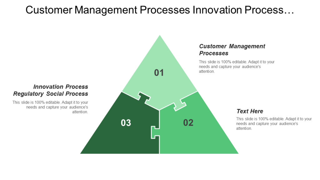 Customer Management Process