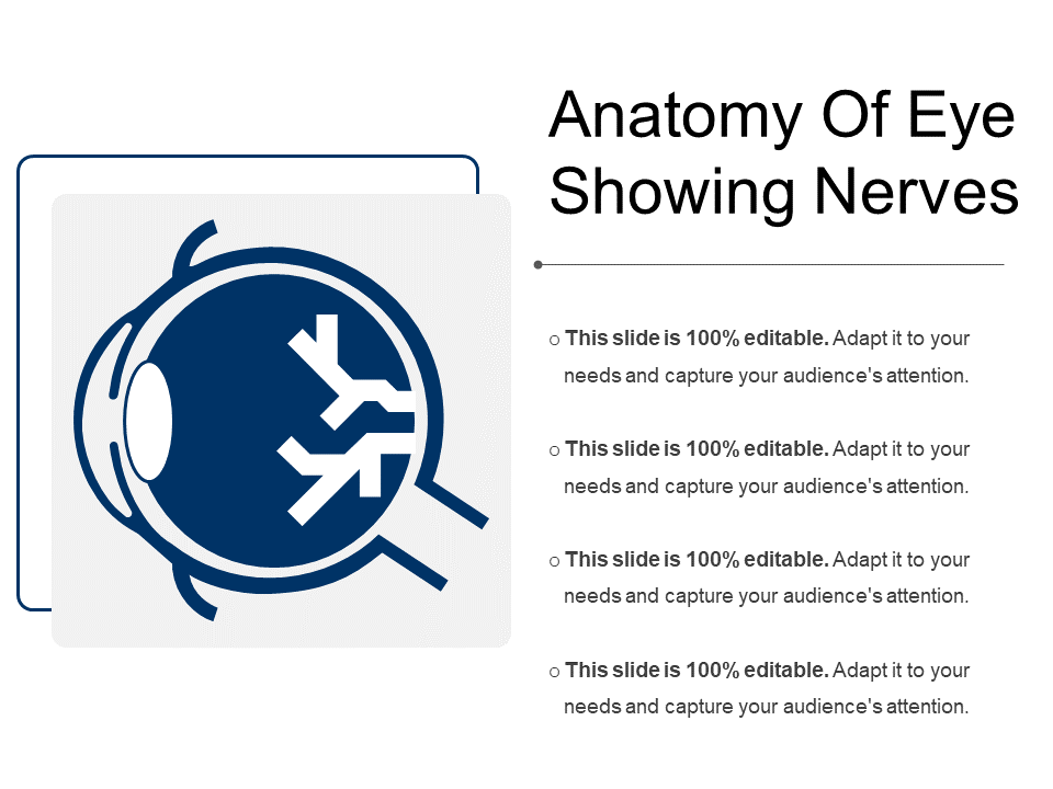 Anatomy of an Eye PPT Template