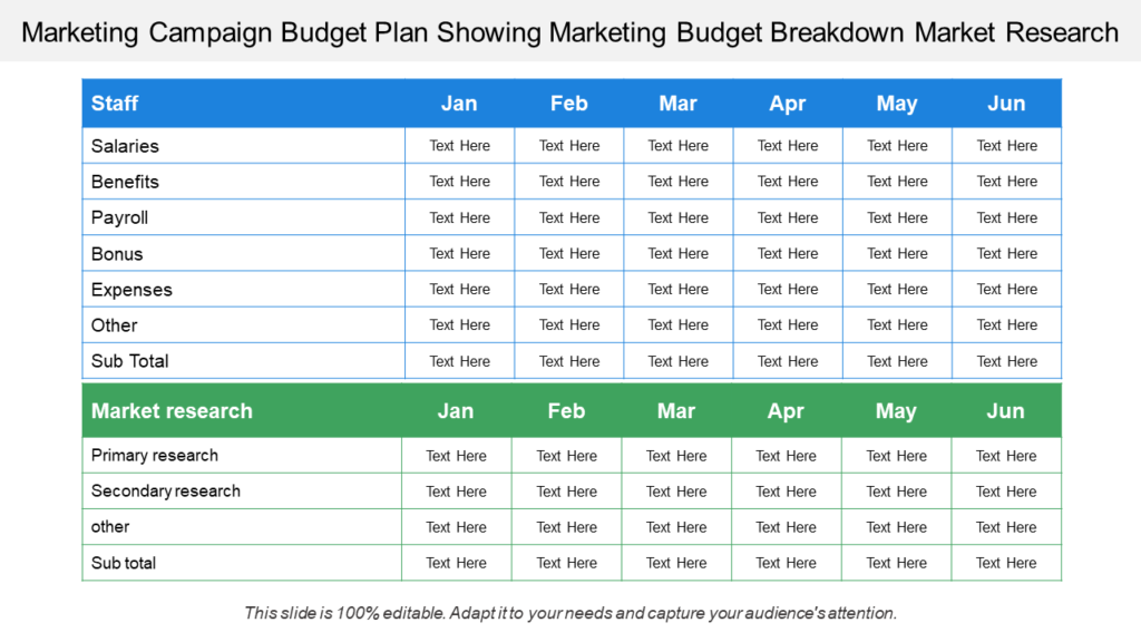 Market Campaign Budget Plan PowerPoint Slide