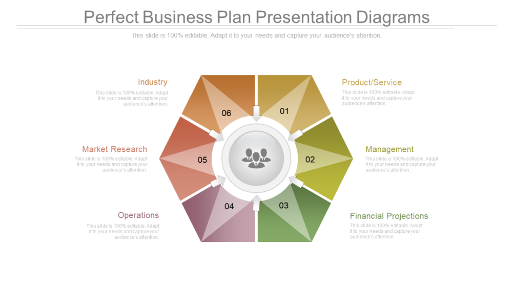 Perfect Business Plan Presentation Diagrams