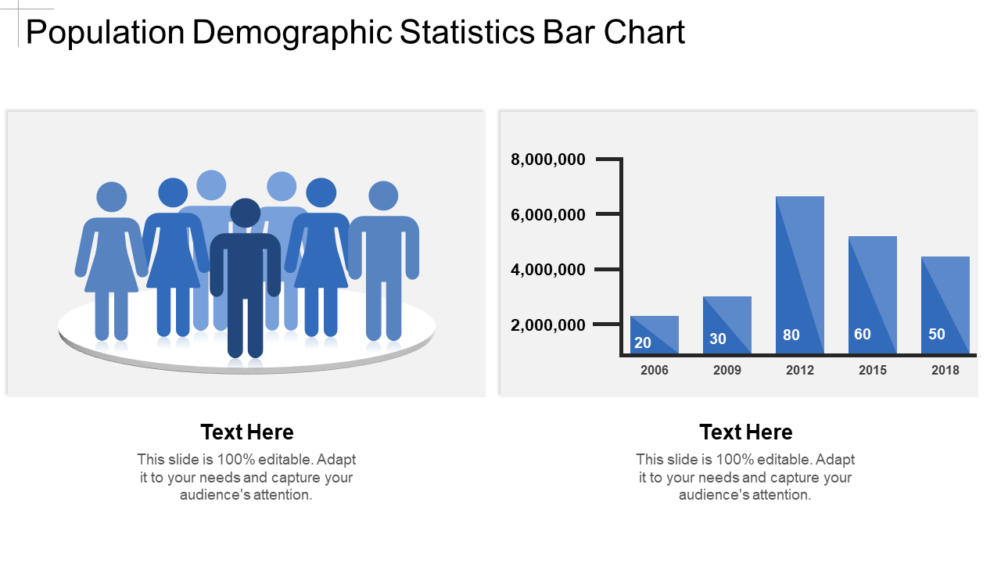 Population Demographic Statistics Bar Chart