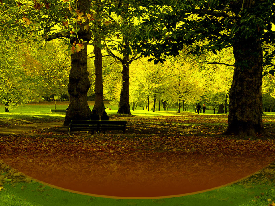 Autumn Park Nature PowerPoint Templates And PowerPoint Backgrounds