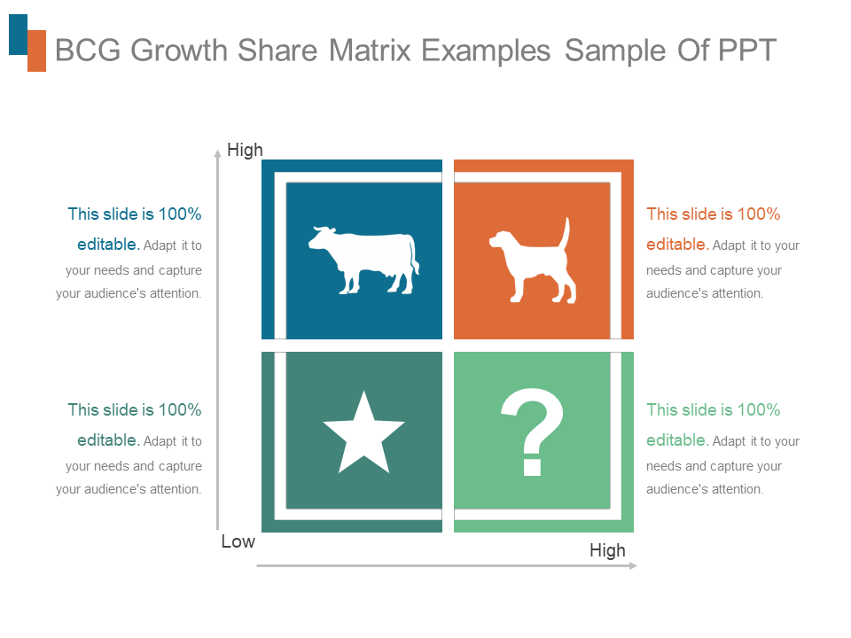BCG Growth Share Matrix 