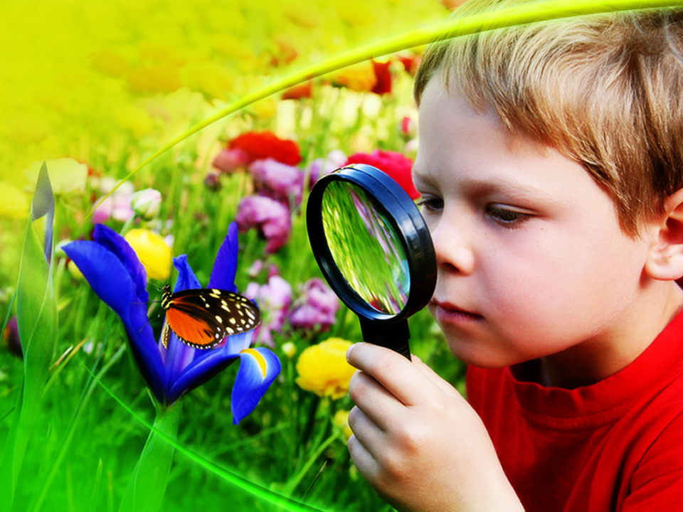 Child Observing Nature PowerPoint Template