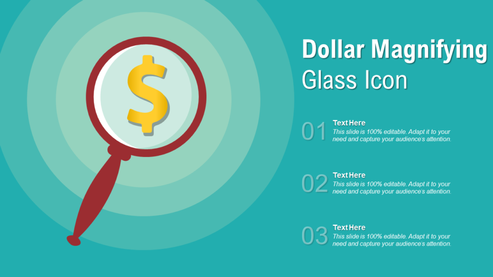 Dollar Magnifying Glass Icon