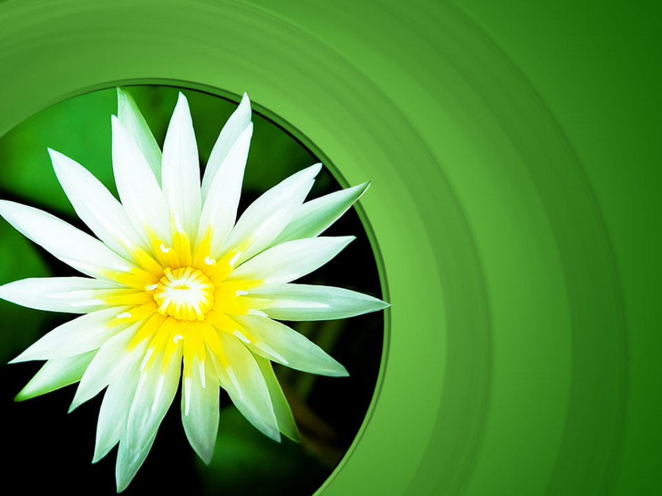 Flower Nature PowerPoint Template