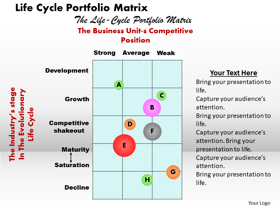 Life Cycle Portfolio Matrix