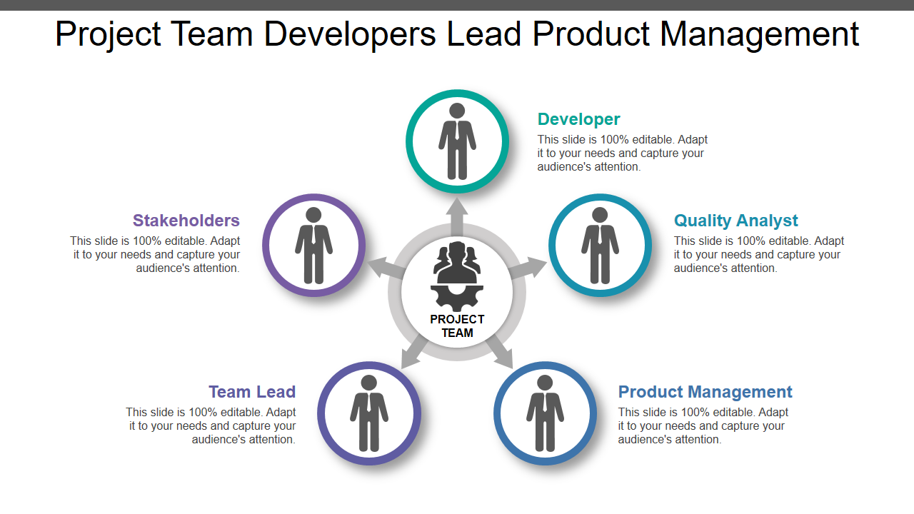 Project Team Developers Lead Product Management
