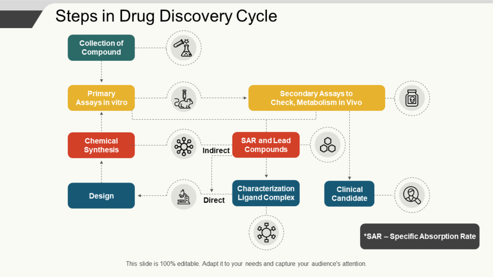 Steps In Drug Discovery Cycle