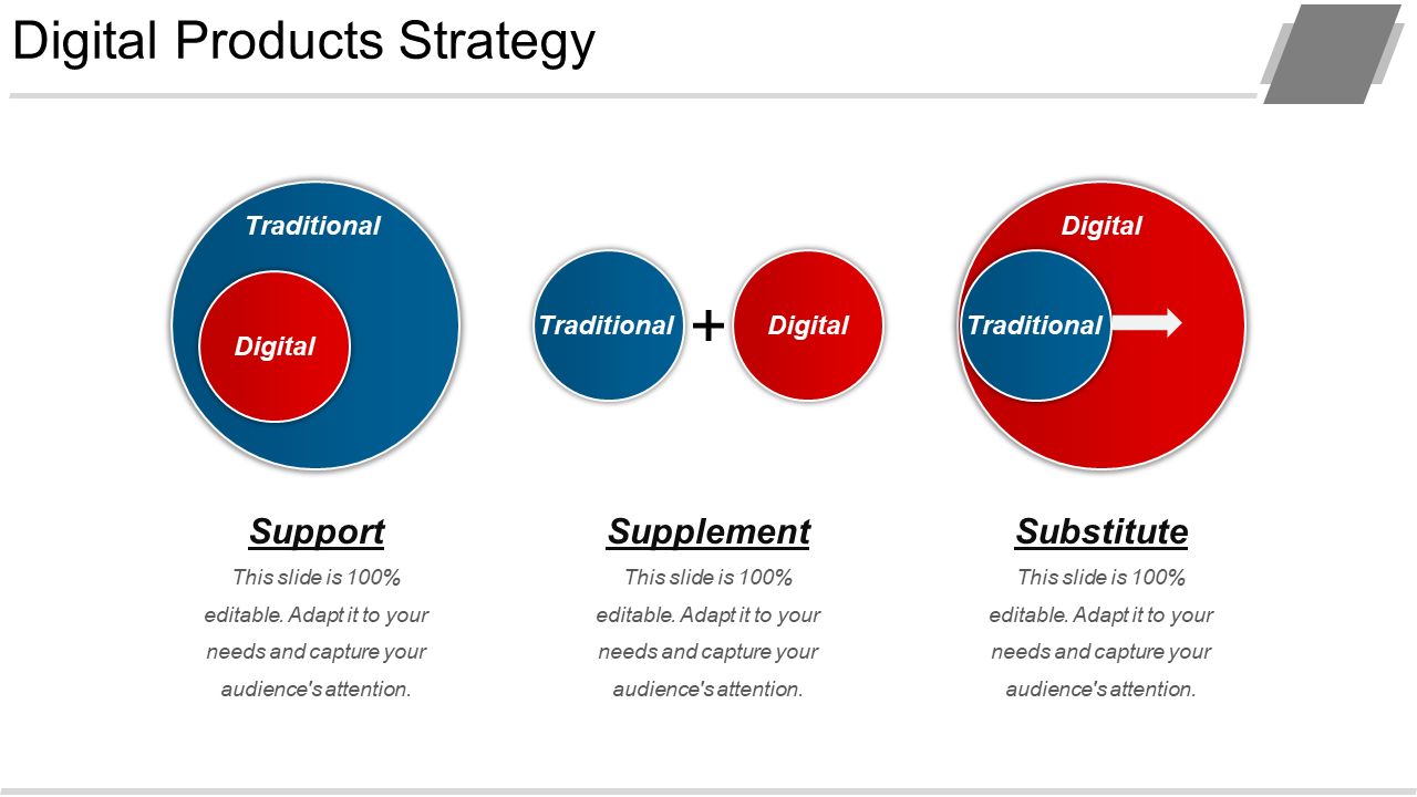 Digital Products Strategy PPT