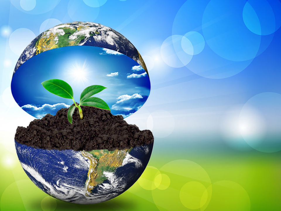 Earth In Plant Environment PowerPoint Templates And PowerPoint Backgrounds