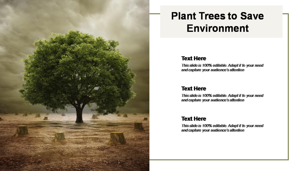 Plant Trees to Save Environment