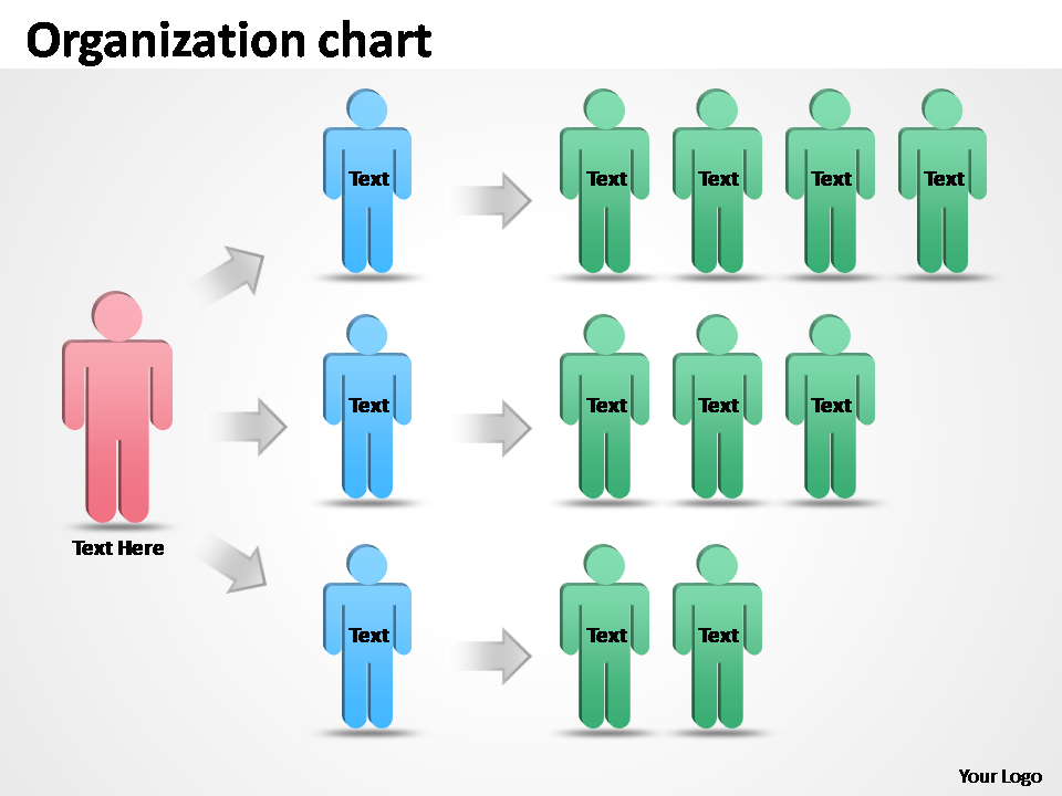 Organization staff chart