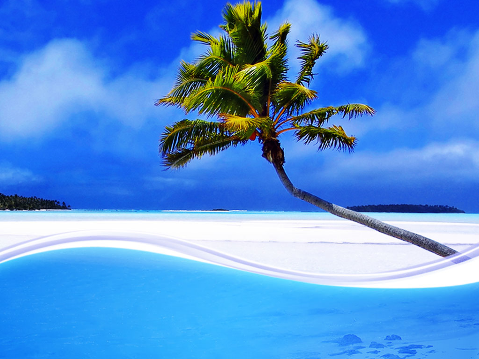 Palm Trees PowerPoint Template Palm Trees PowerPoint Template