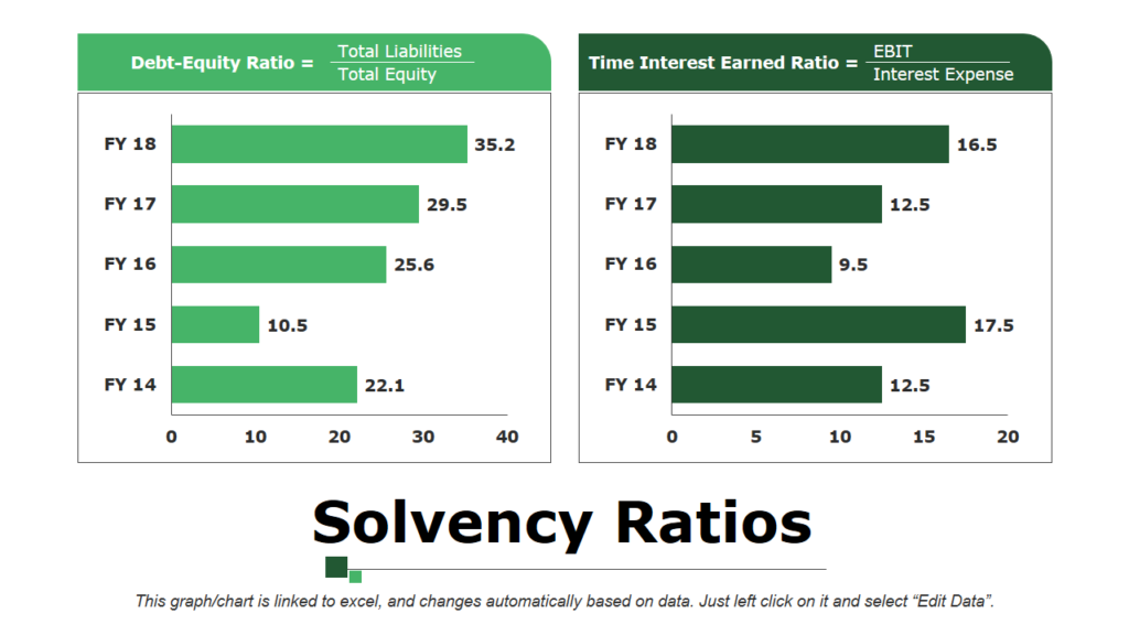 Solvency Ratios Editable Slide