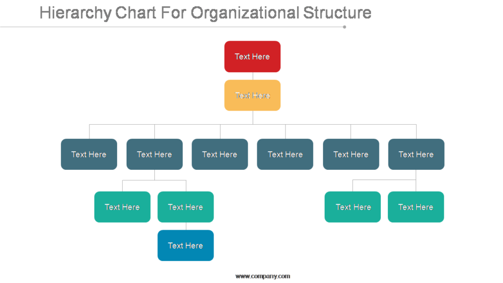 Hierarchy Chart For Organizational Structure PPT Inspiration
