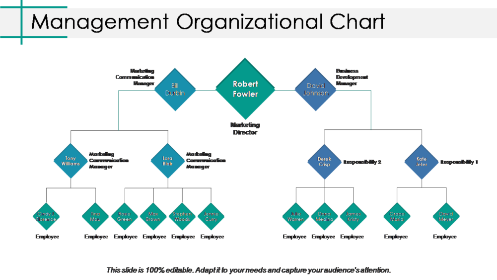 Management Organizational Chart PPT Professional Background Image