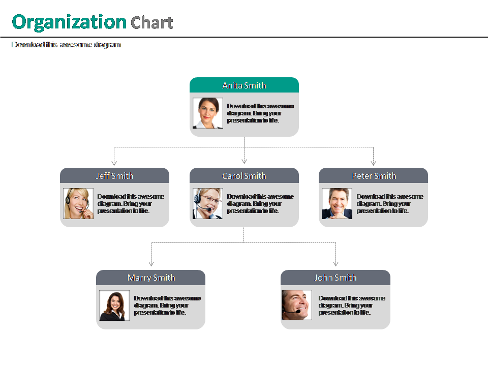 Multilevel Company Organizational Chart For Employee Profile PowerPoint Slides