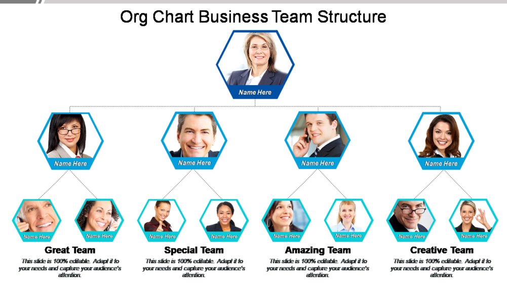 Org Chart Business Team Structure