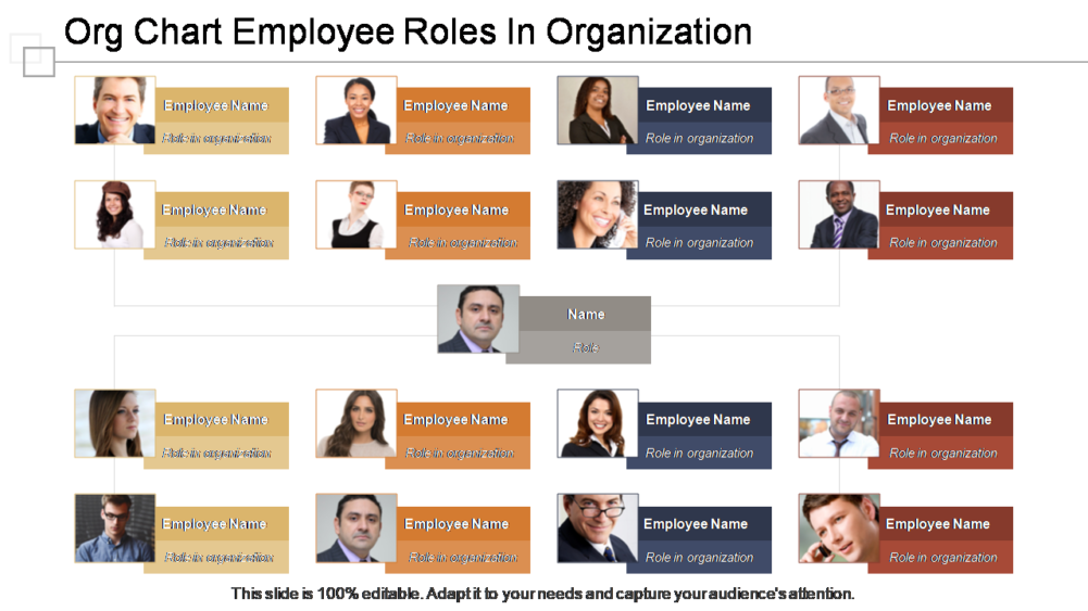 Org Chart Employee Roles In Organization
