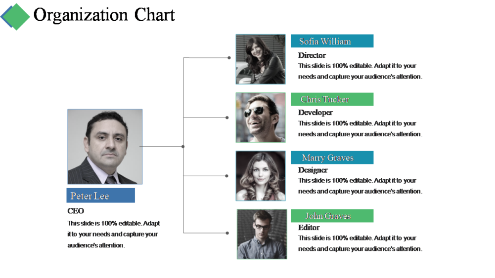 Organization Chart PPT Summary Slide