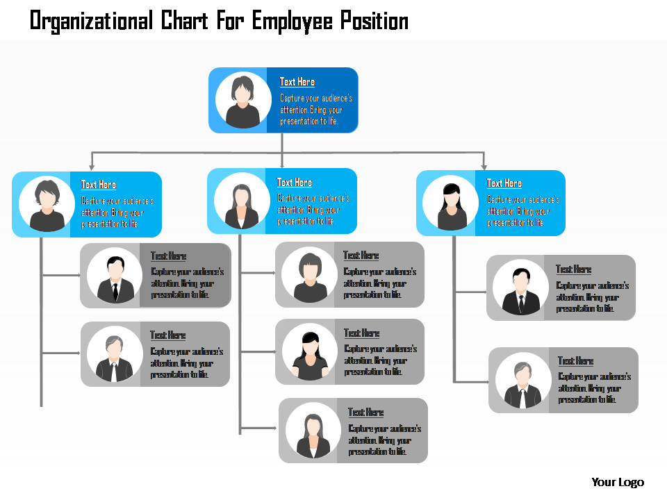 Organizational Chart For Employee Position Flat PowerPoint Design