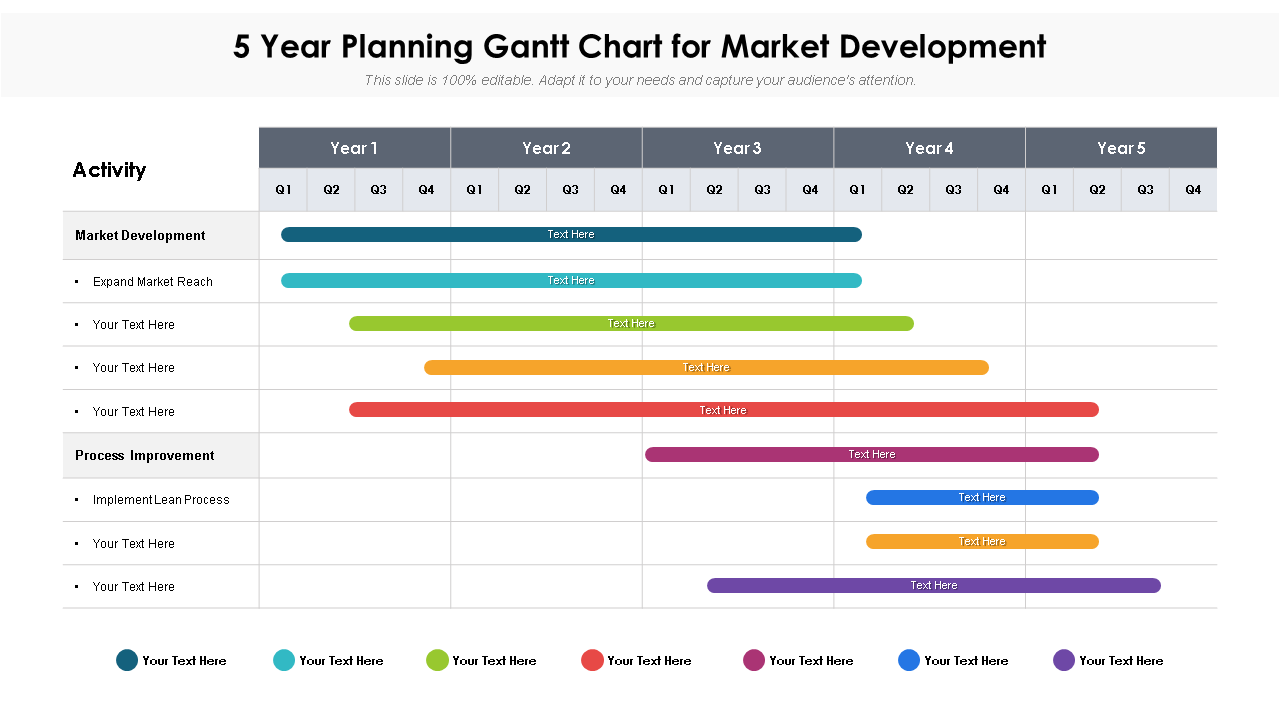 5 Year Planning Gantt Chart for Market Development 