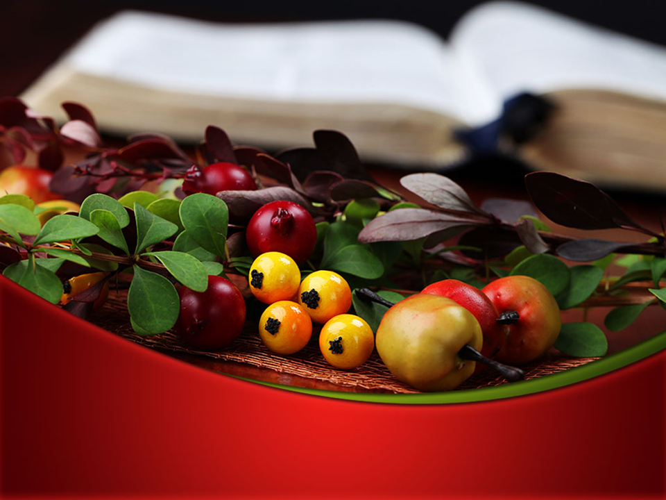 Bible And Thanksgiving Religion PowerPoint Background