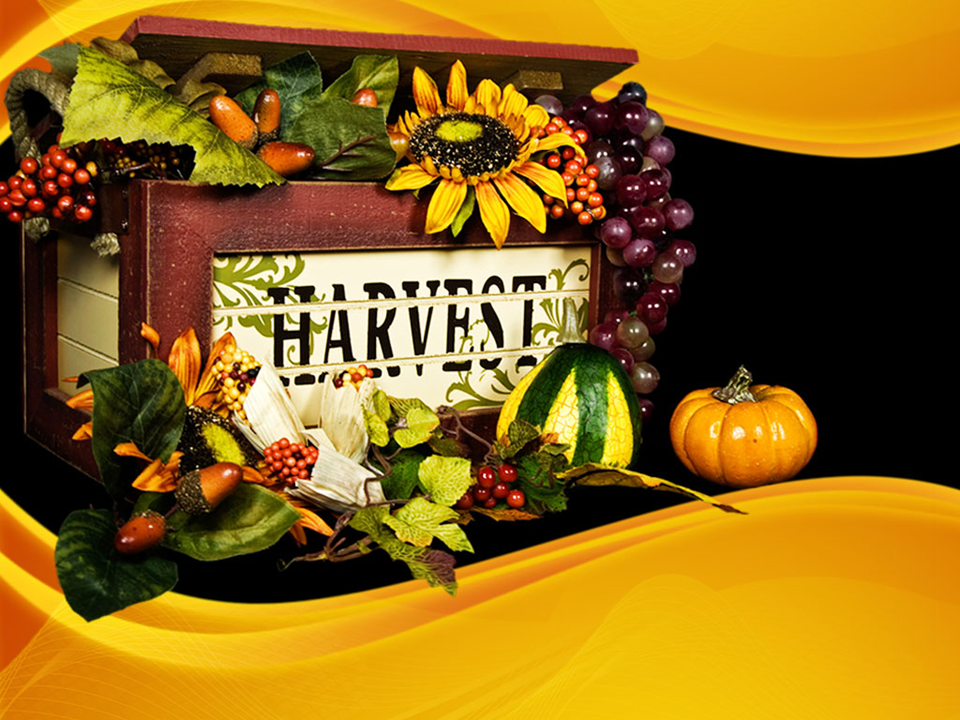 Harvest Box Nature PowerPoint Template