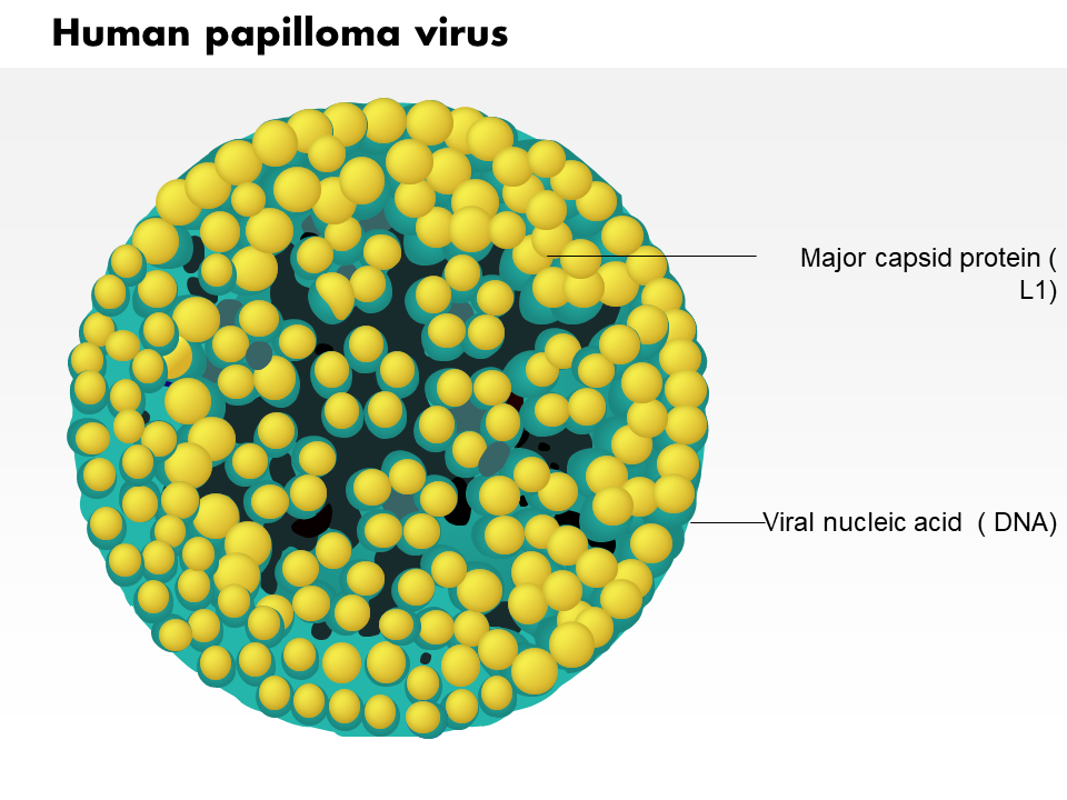 Human Papilloma Virus Medical Images For PowerPoint