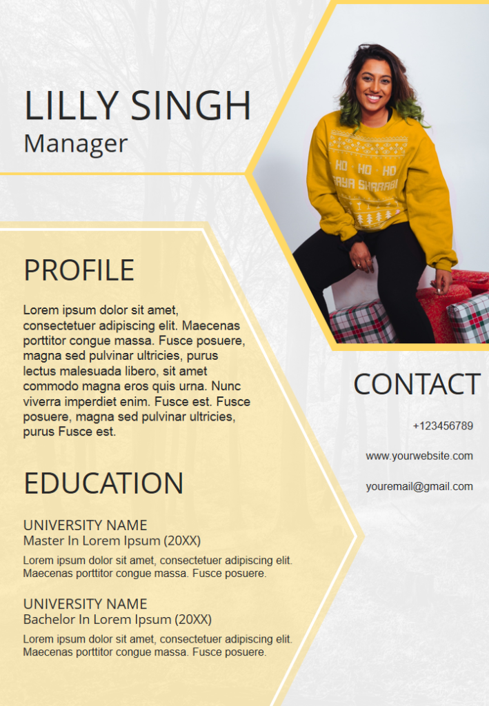 Resume Template 38 Resume Template 38