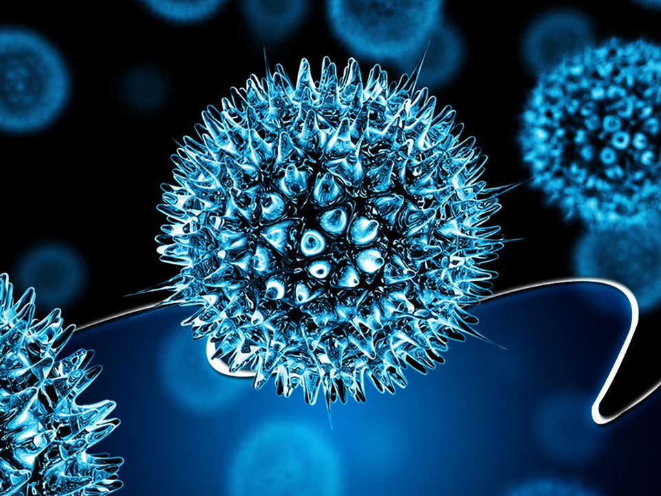 Virus Science PowerPoint Templates And PowerPoint Backgrounds 0211