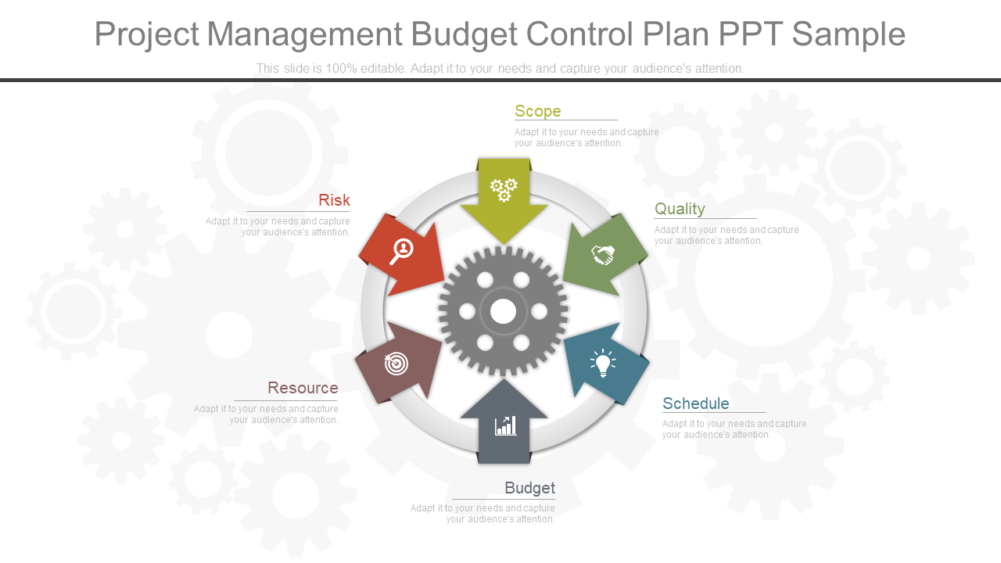Project Management Budget Control Plan PPT Sample