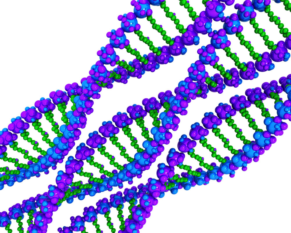 Three DNA For Human Health Study Stock Photo