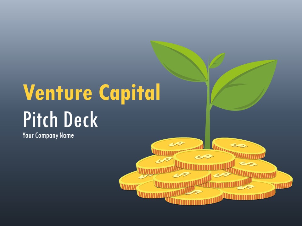 Venture Capital Pitch