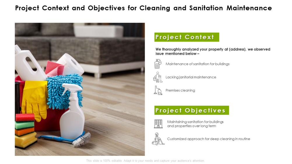 Project Context And Objectives For Cleaning And Sanitation Maintenance
