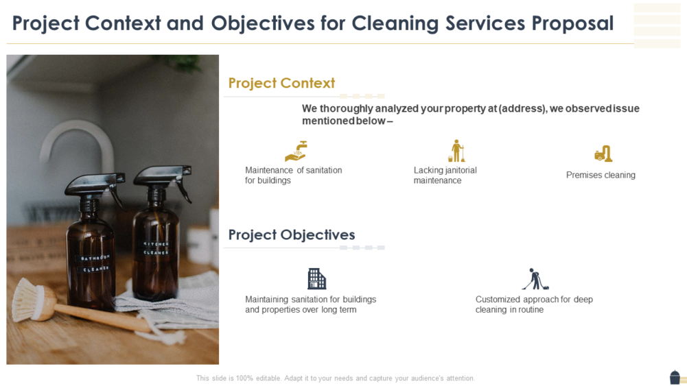 Project Context And Objectives For Cleaning Services Proposal