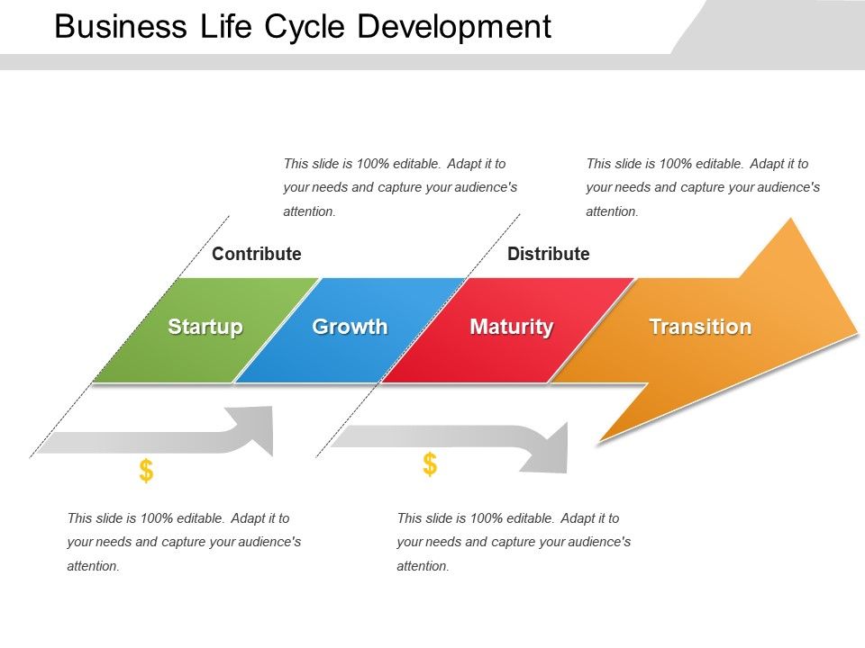 Business Life Cycle Development