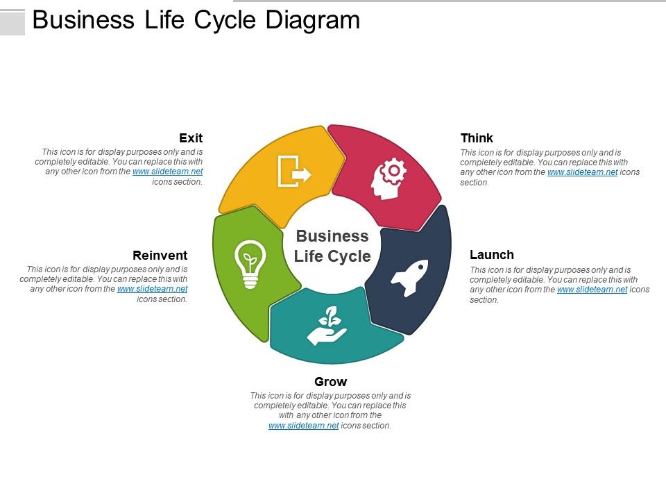Business Life Cycle Diagram
