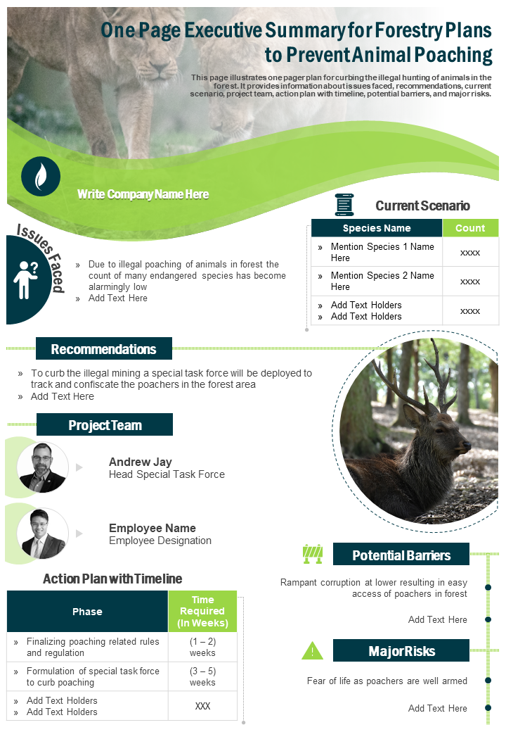 One Page Executive Summary For Forestry Plans