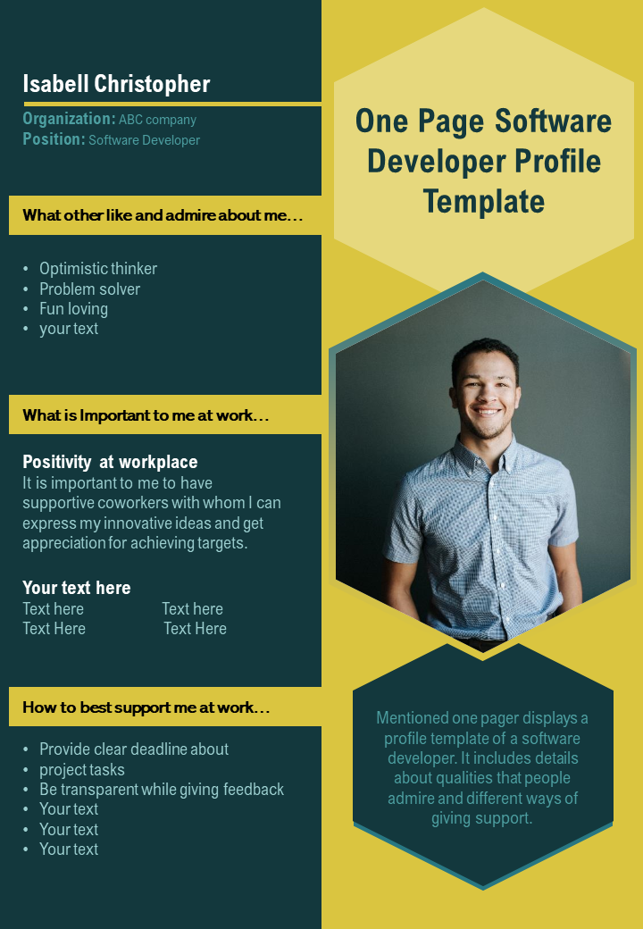 One Page Software Developer Profile Template Presentation Report Infographic PPT PDF Document
