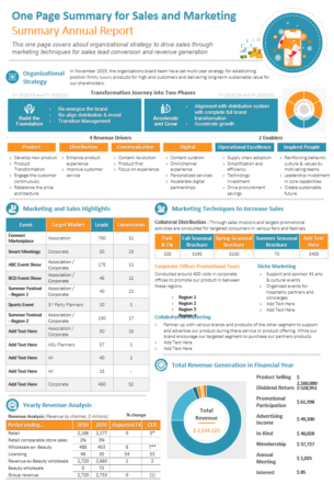 One Page Summary for Sales and Marketing Summary Annual Report 