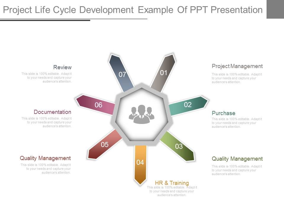 Project Life Cycle Development Example