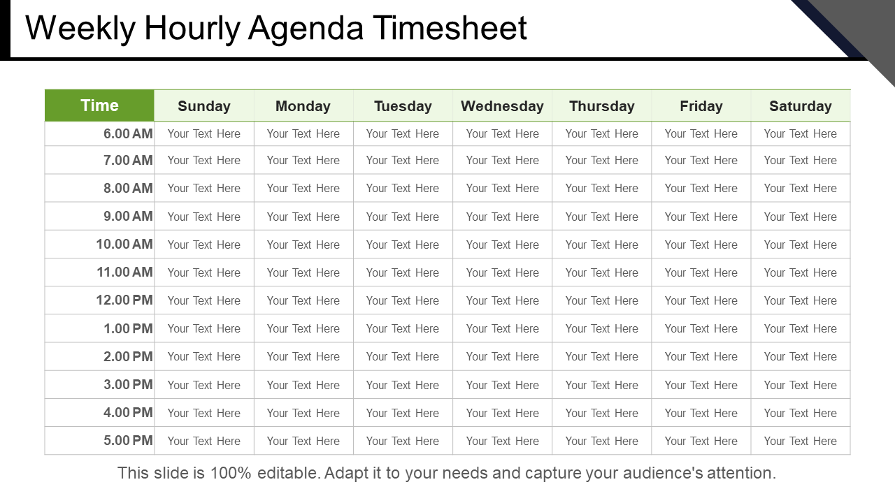 Weekly Hourly Agenda Timesheet PowerPoint Slides