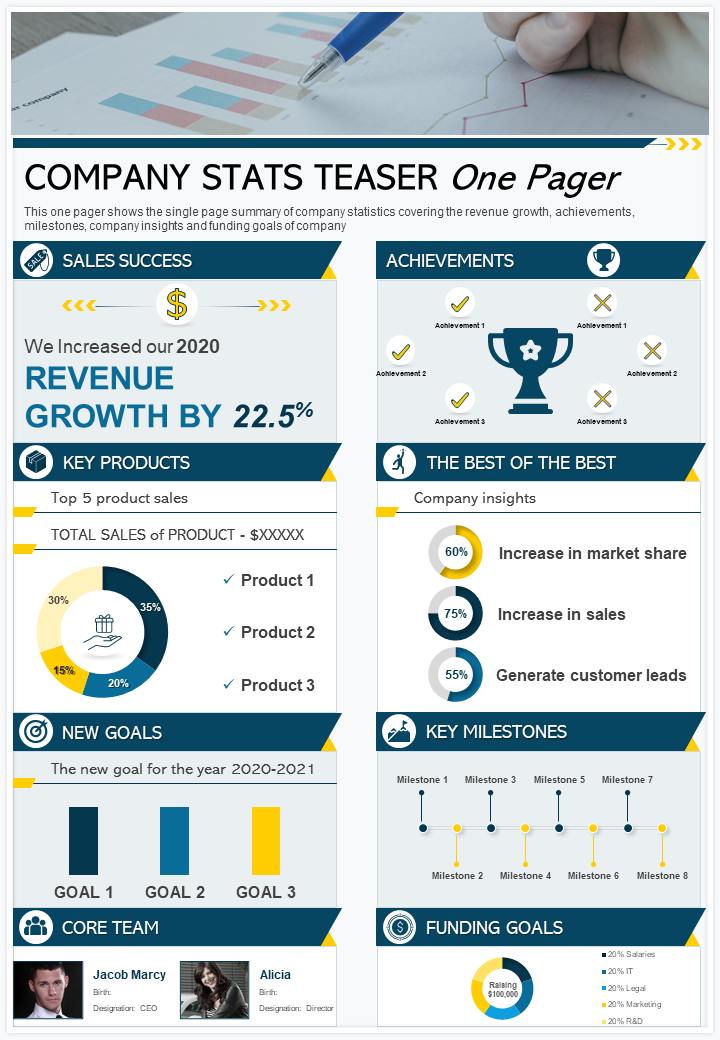 Company Stats Teaser One Pager Presentation Report Infographic