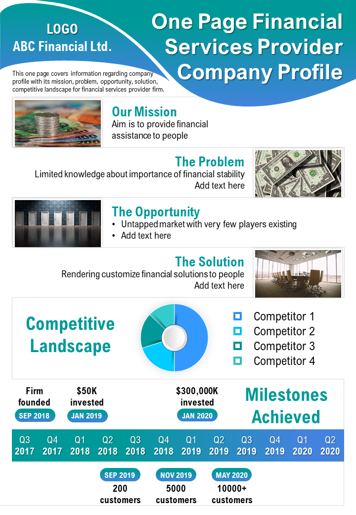 One Page Financial Services Provider Company Profile Presentation Report Infographic