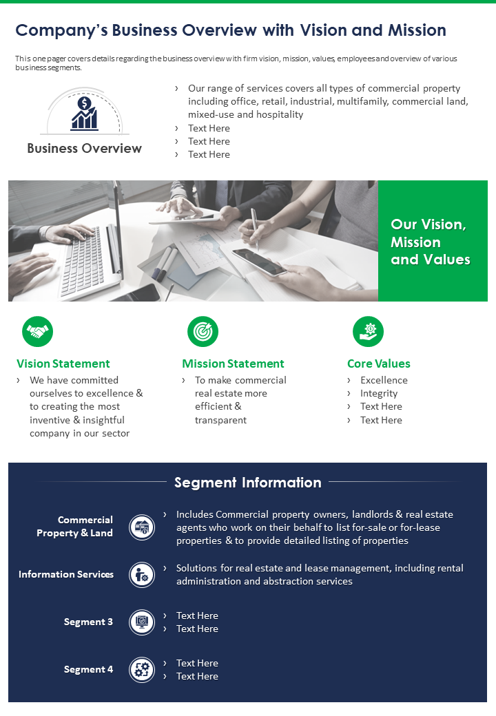 One Pager Company Principles Overview With Vision And Mission Template 294 Infographic