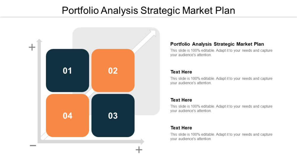 Portfolio Analysis Market Plan PPT PowerPoint Presentation
